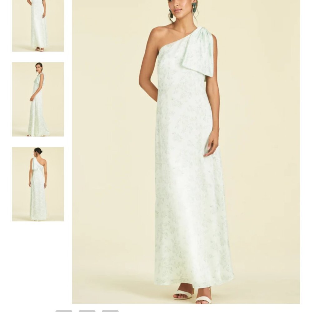 NWT Sachin and Babi Chelsea Gown in Jade Rose Watercolor Size 10